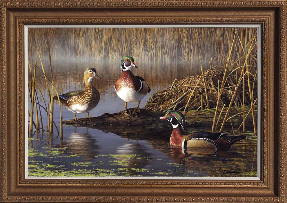 Ducks Unlimited Paintings